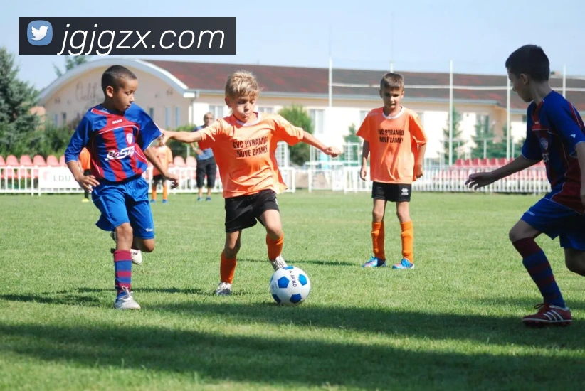 App Interface Preview